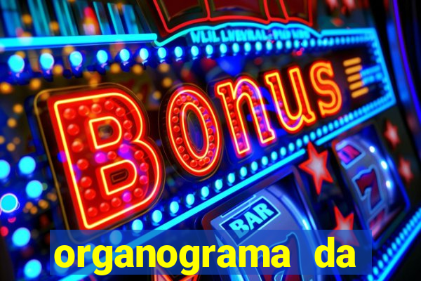 organograma da cacau show