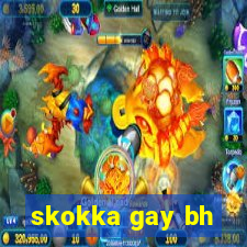 skokka gay bh