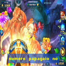 numero papagaio no jogo do bicho