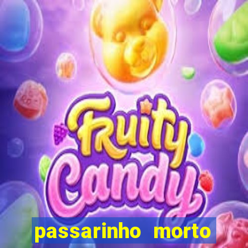 passarinho morto significado espiritual