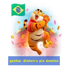 ganhar dinheiro pix domino