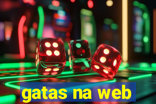 gatas na web