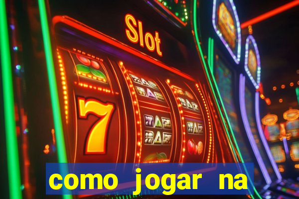 como jogar na teimosinha da lotofacil