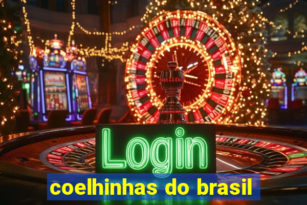 coelhinhas do brasil