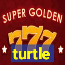 turtle-ty.com